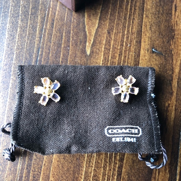 💲⬇️Coach Light Pink Crystal Daisy Flower Pierced Stud Earrings NWT - Picture 3 of 10